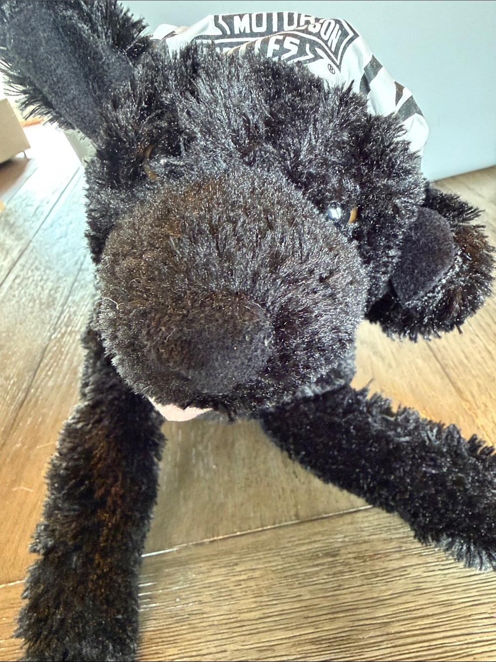 Harley Davidson black dog puppy with bandana plushie stuff animal